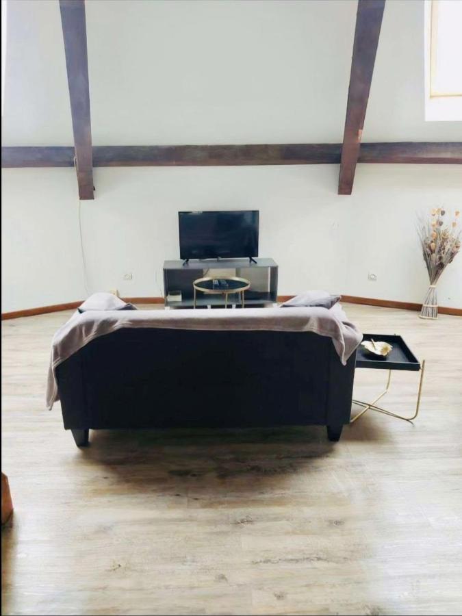 Superbe Appartement Cocooning Proche Des Thermes Vittel Esterno foto